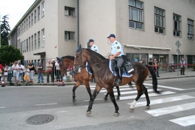 080728-Kranfest12