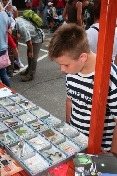 080728-Kranfest23