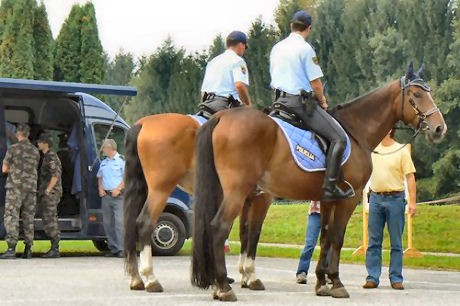 080908-SodelovanjeZVojsko04