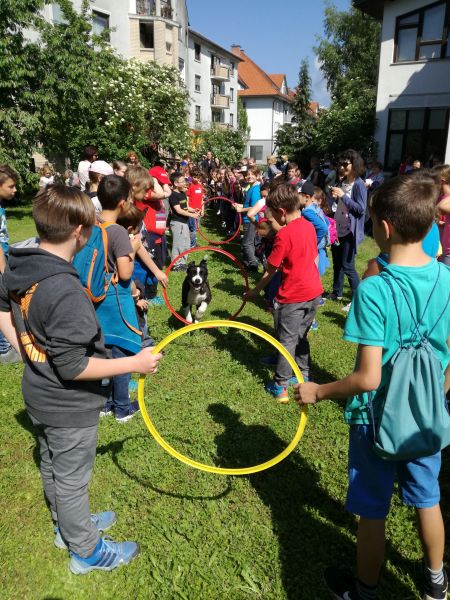 IMG 20180525 095944