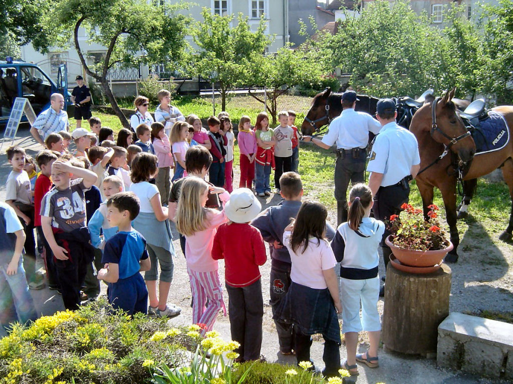 060614 DanPP Ribnica03