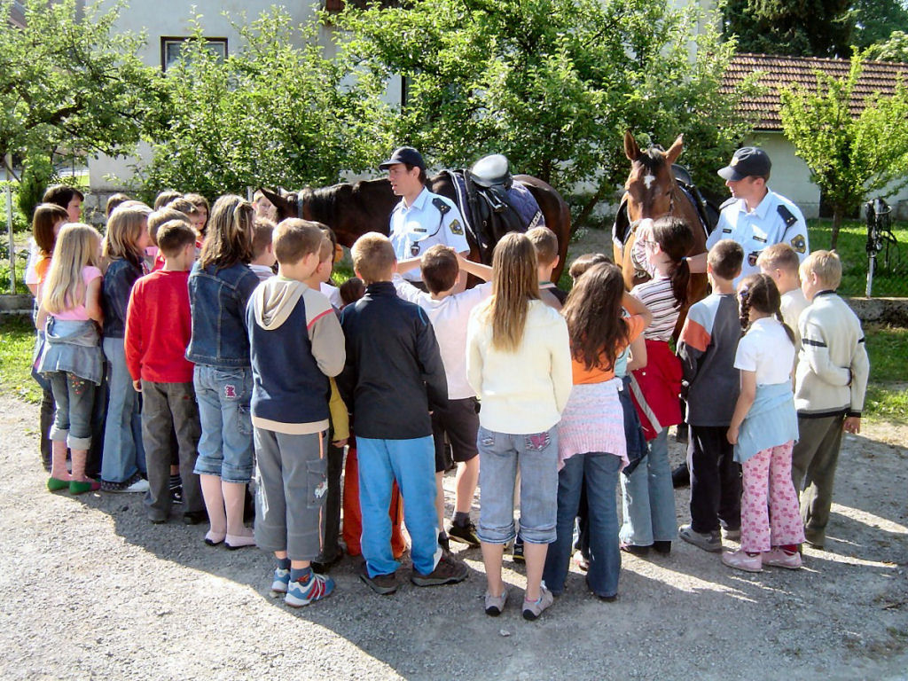 060614 DanPP Ribnica04