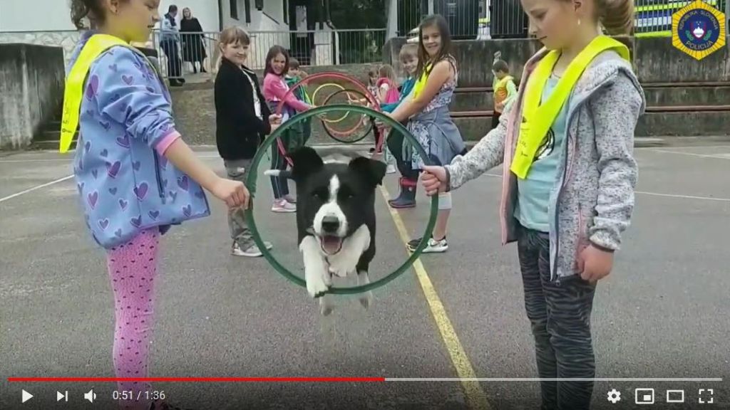 pulj dan policije video izsek