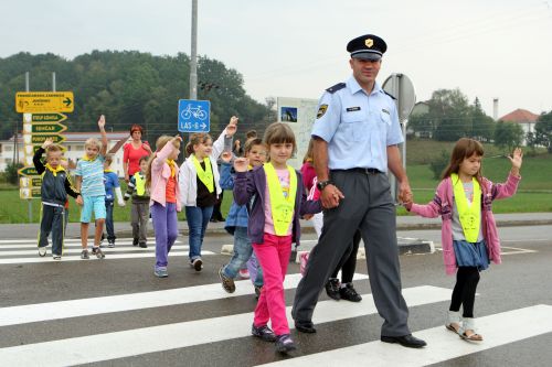 zavec 4