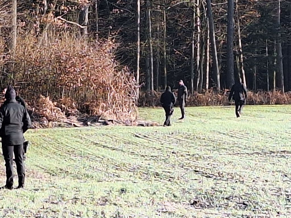 Policisti preiskujejo teren ob gozdu