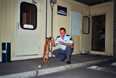 070709-NocniObisk_MPGibina02-m