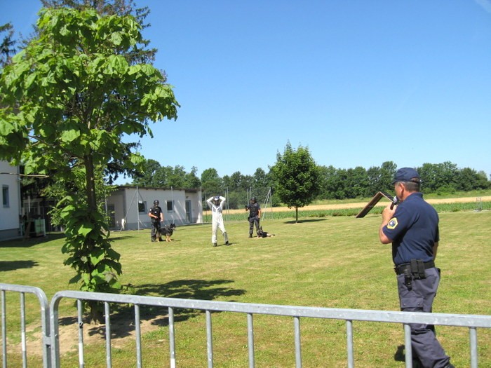 IMG 0347