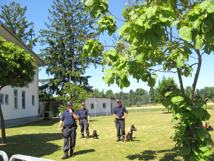 IMG 0370