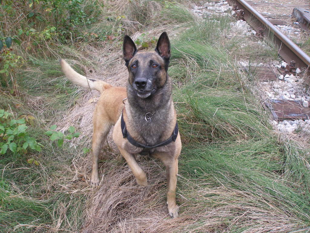 fotografija2 jago