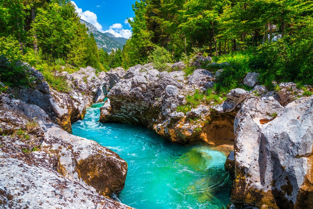 Reka Soča