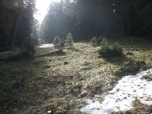 IMG 0034