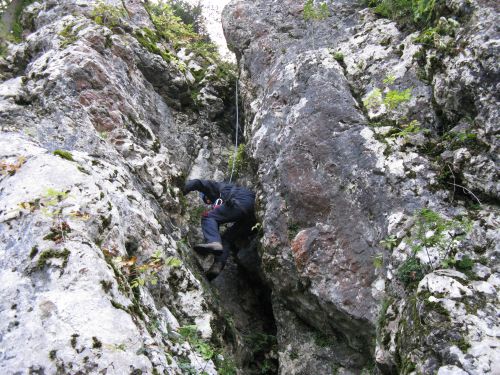 IMG 0493