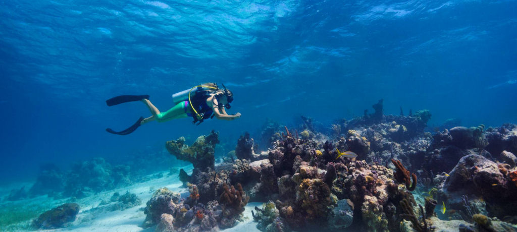 picture of a diver under the surface of the sea