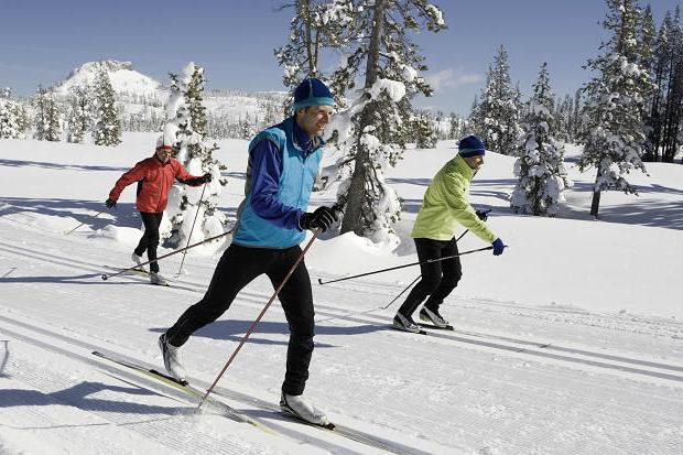 picture of several cross-country skiers