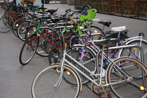 picture of several locked bicycles in a row