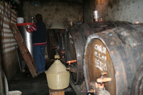 picture of an old wine cellar