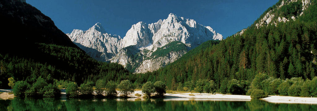 slika Bohinjskega jezera, v ozadju planinski vrhovi