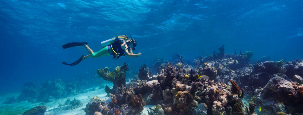 potaplač opazuje življenje pod morsko gladino