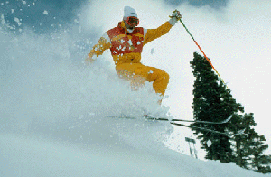 picture of a skier in fresh snow - free style