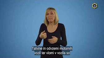 slika posnetka videa v znakovnem jeziku - Tatvine in odvzemi vozil